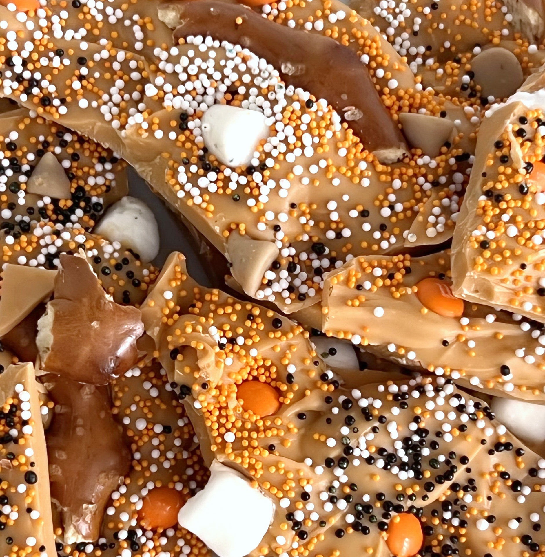 Thanksgiving Pumpkin Spice Bark