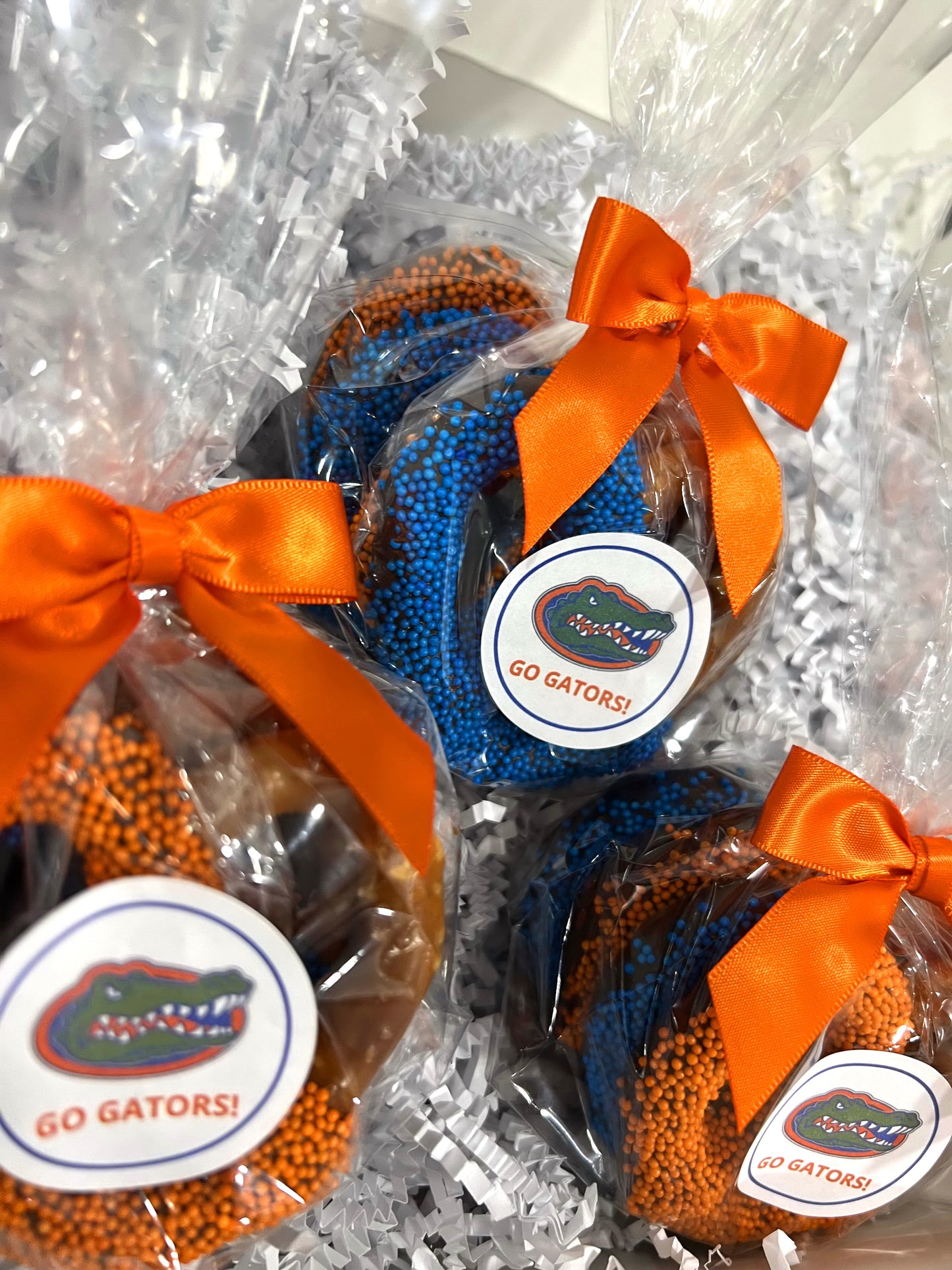 University of Florida Chocolate Covered Jumbo Pretzels